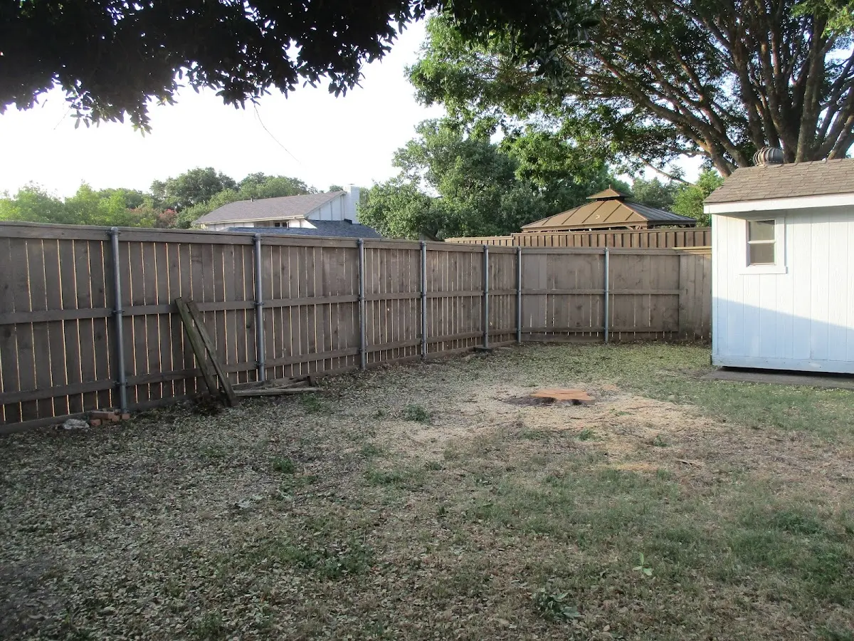 Cleared yard after professional tree removal in Pittsboro